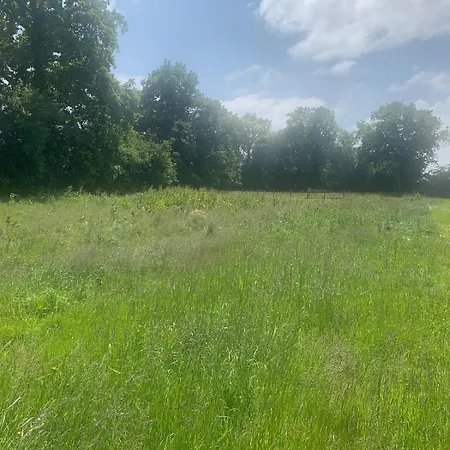 Le Mesnil Dan - Seminaire, De Groupe 24 Personnes Prázdninový dům