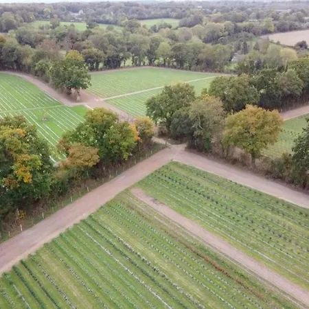Le Mesnil Dan - Seminaire, De Groupe 24 Personnes בית נופש *
