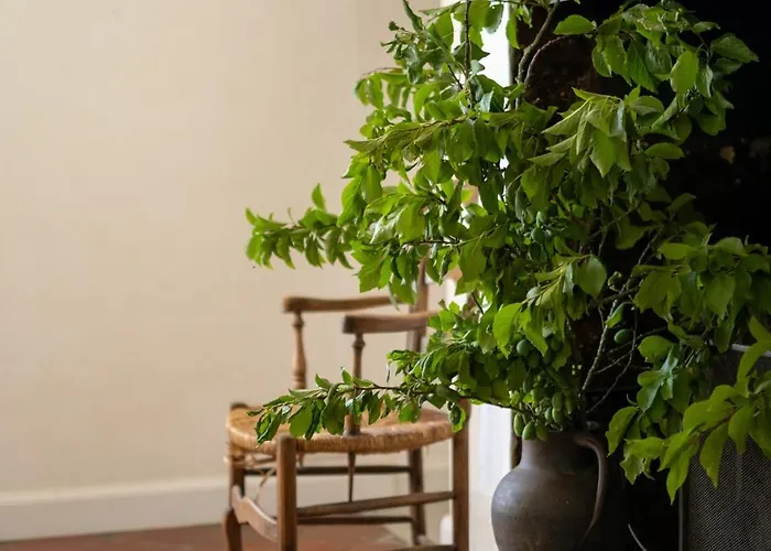 Le Mesnil Dan - Seminaire, De Groupe 24 Personnes *