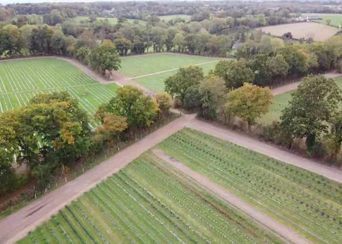 Le Mesnil Dan - Seminaire, De Groupe 24 Personnes Prázdninový dům *